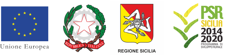 logo solo